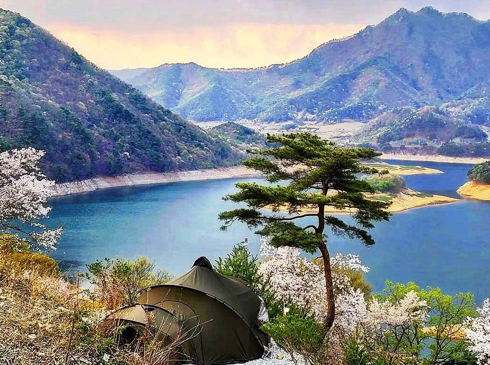 AUTO CAMPING